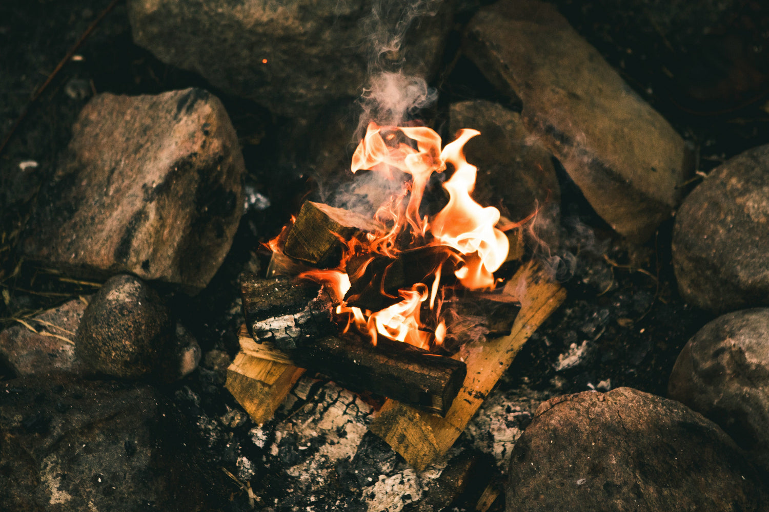 Bushcraft & Survival